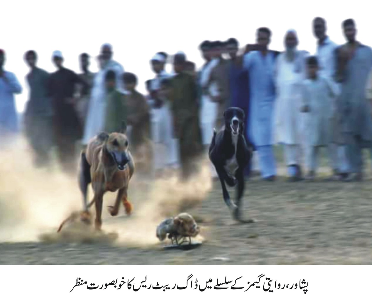 خیبرپختونخوا روایتی گیمز ، نوشہرہ میں مقابلے اختتام پذیر ہوگئے