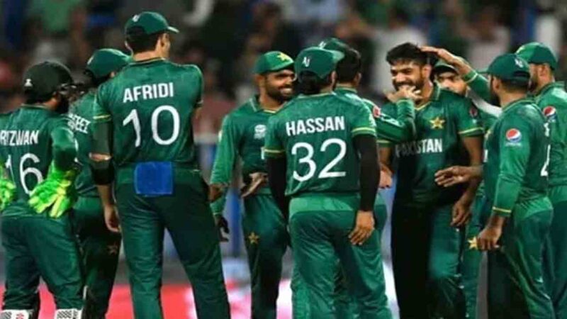 کرکٹ ورلڈ کپ ; پاکستانی کرکٹ ٹیم کو ویزے جاری.