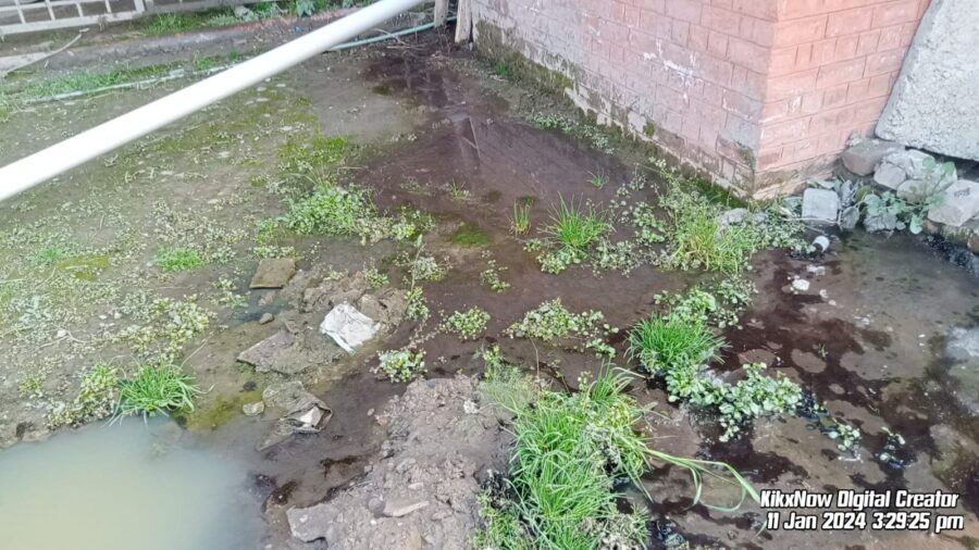 صوبائی اسپورٹس ڈائریکٹوریٹ پشاور میں 8 ماہ سے گندے پانی نے تباہی مچا دی