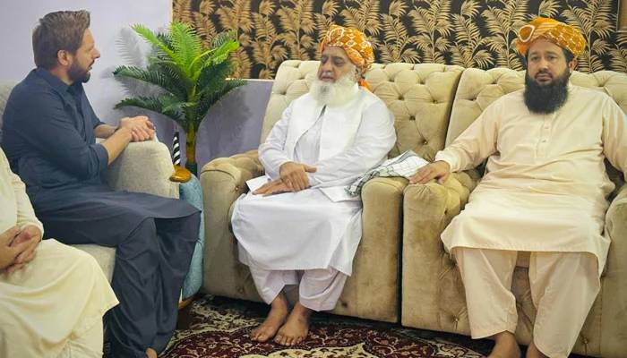 مولانا فضل الرحمان سے شاہد خان آفریدی کی ملاقات